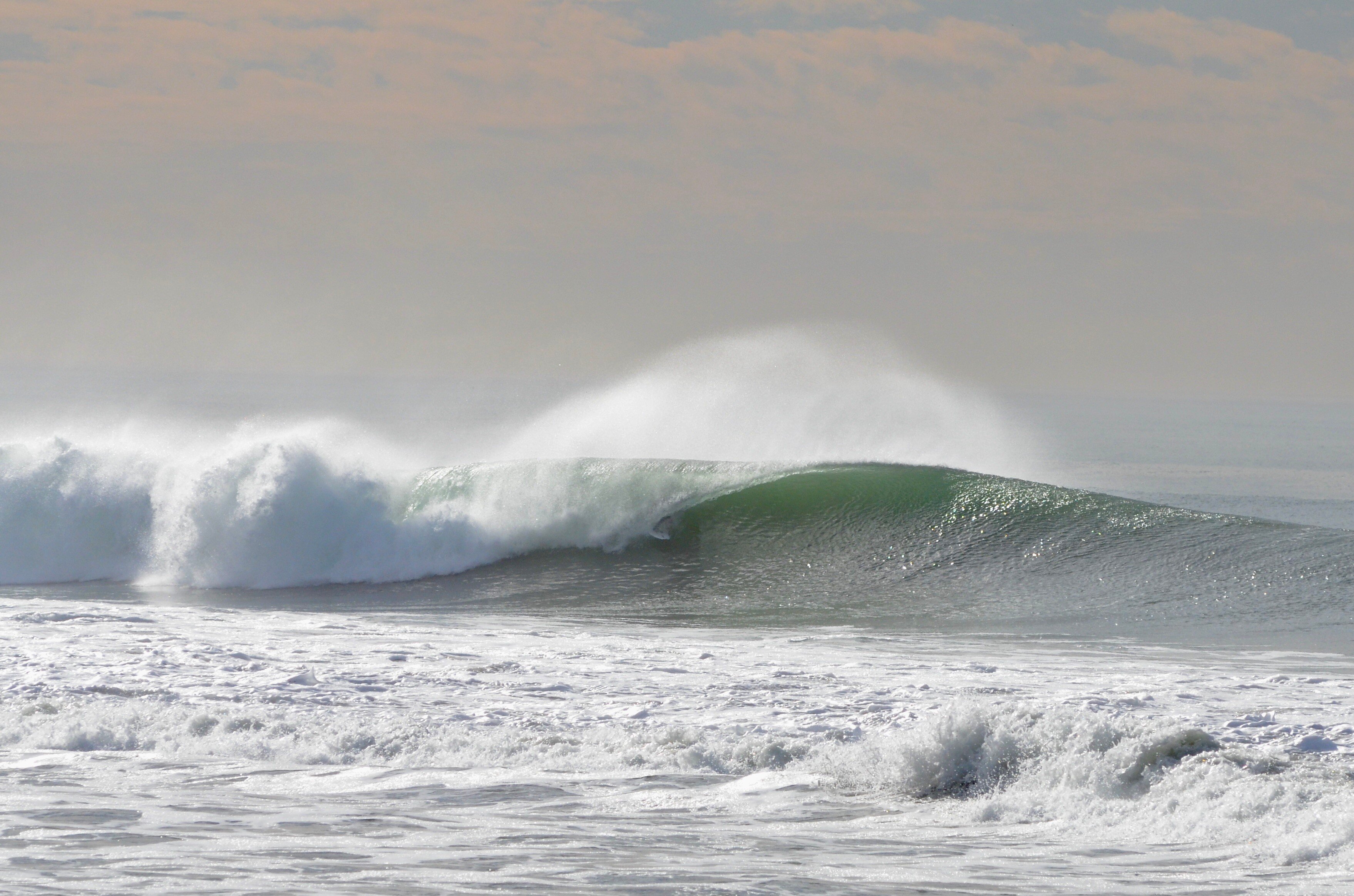 What Does It Take To Save Bolsa Chica?